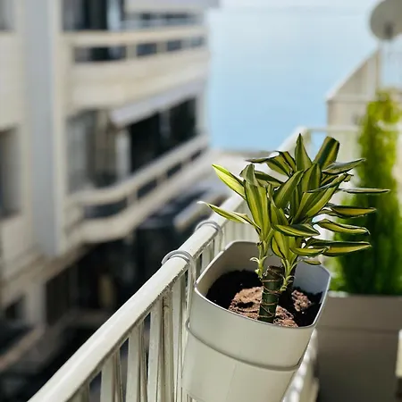 Apartment Aristotelous Square N.4 Thessaloniki